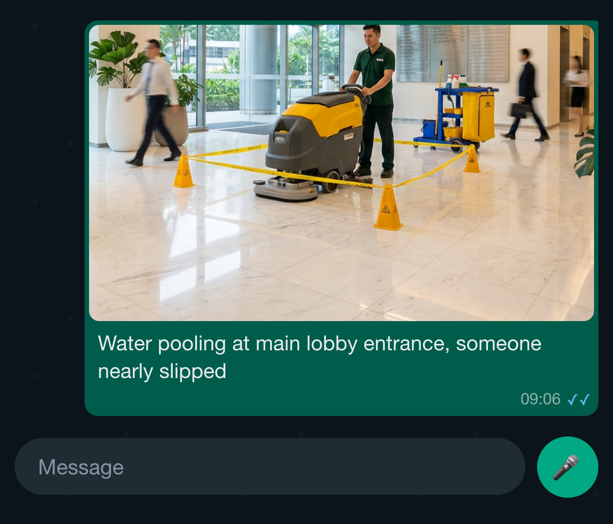 Report the issue